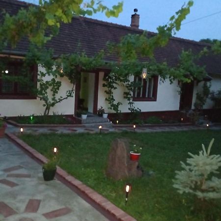 Casa Dragoi Din Socolari, Caras - Severin Zewnętrze zdjęcie