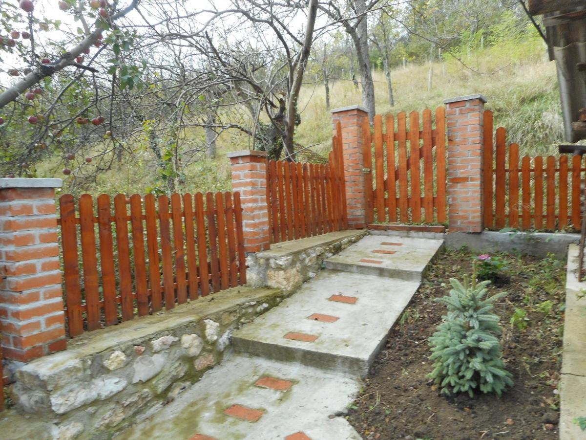 Casa Dragoi Din Socolari, Caras - Severin Zewnętrze zdjęcie