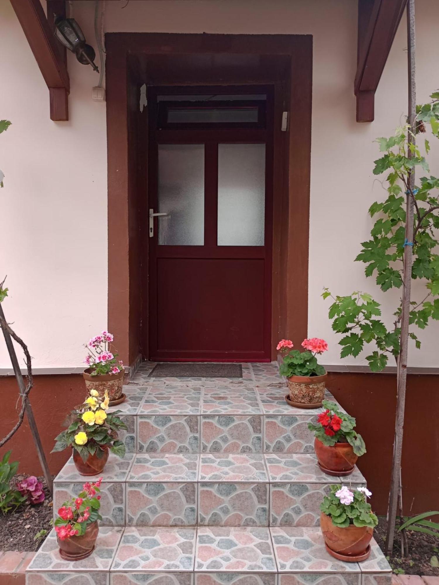 Casa Dragoi Din Socolari, Caras - Severin Zewnętrze zdjęcie