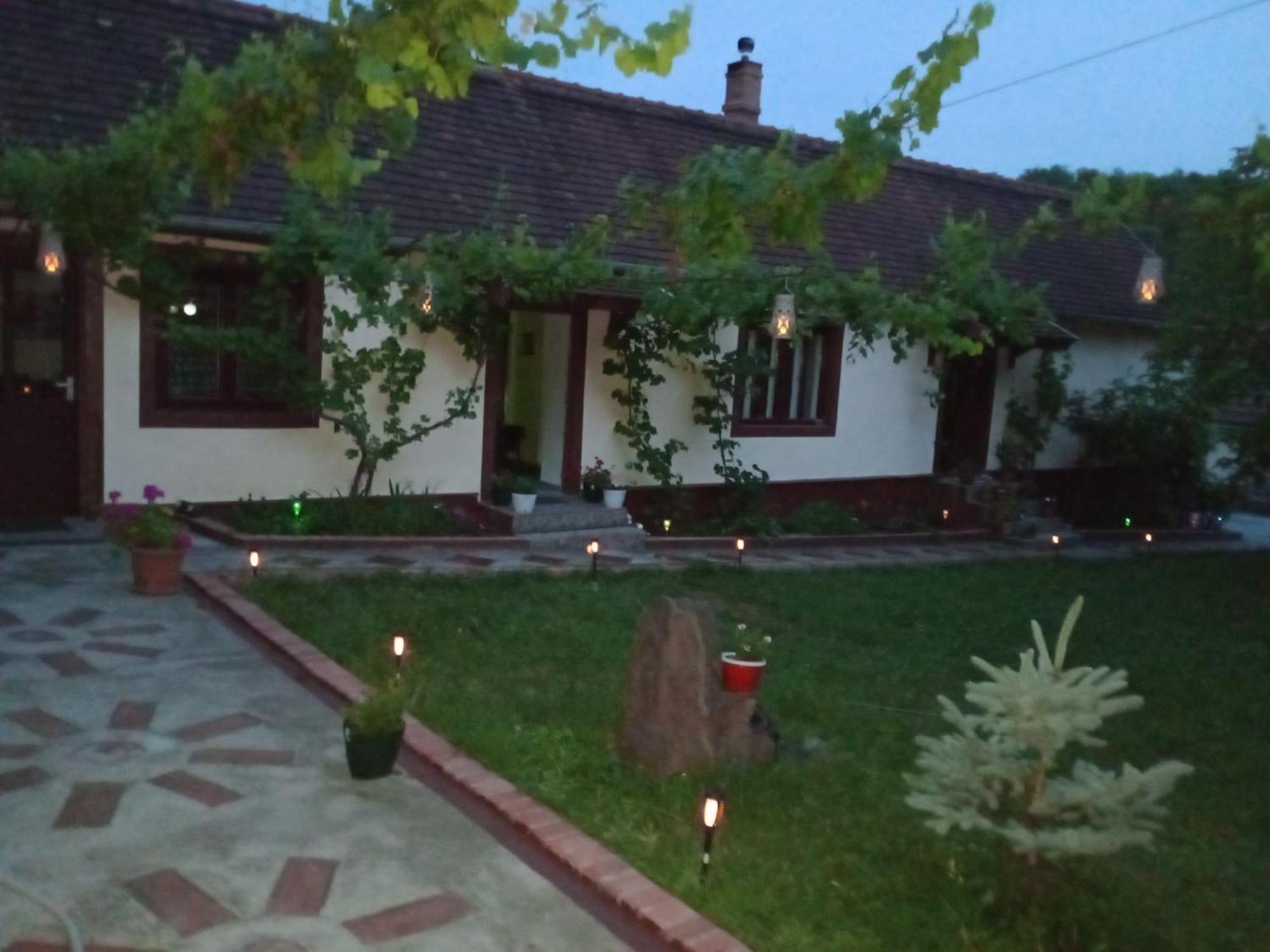 Casa Dragoi Din Socolari, Caras - Severin Zewnętrze zdjęcie